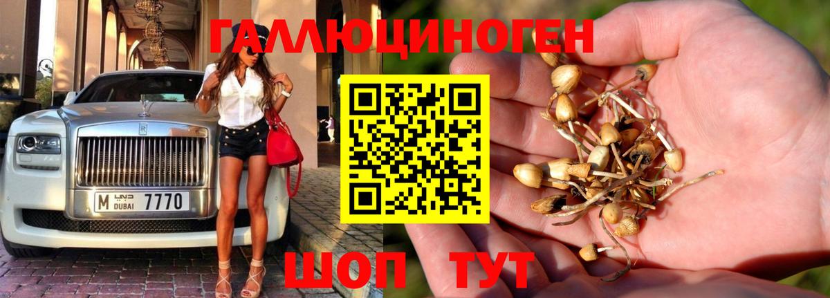 Псилоцибиновые грибы прущие грибы  Вход с VPN  Богородицк 
